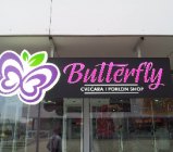 Butterfly